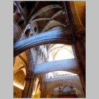 Tui, photo Zarateman, Wikipedia,7.jpg